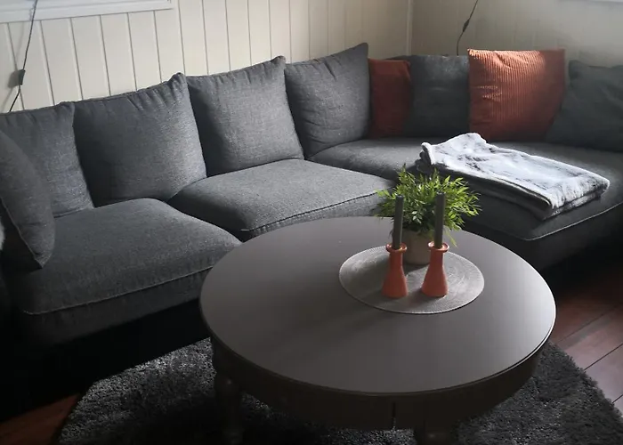 Sentral Studioleilighet Ved Stranden Og Hvalsenter Nb Ma Vaskes Etter Endt Leie Eller Betale Rengjoringshjelpen 500 Kr